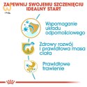 ROYAL CANIN BHN Labrador Puppy - sucha karma dla szczeniąt - 12kg