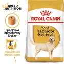 ROYAL CANIN BHN Labrador Retriever Adult - sucha karma dla psa dorosłego - 12 kg