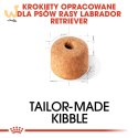 ROYAL CANIN BHN Labrador Retriever Adult - sucha karma dla psa dorosłego - 12 kg