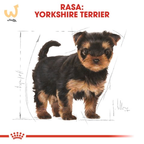 ROYAL CANIN BHN Yorkshire Puppy - sucha karma dla szczeniąt - 7,5 kg ROYAL CANIN BHN Yorkshire Puppy - sucha karma dla szczeniąt - 7,5 kg
