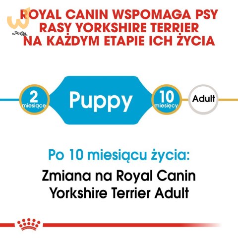 ROYAL CANIN BHN Yorkshire Puppy - sucha karma dla szczeniąt - 7,5 kg ROYAL CANIN BHN Yorkshire Puppy - sucha karma dla szczeniąt - 7,5 kg