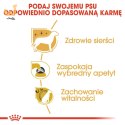 ROYAL CANIN BHN Yorkshire Terrier Adult - sucha karma dla psa dorosłego - 7,5 kg