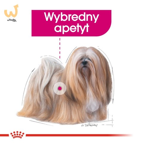 ROYAL CANIN CCN EXIGENT LOAF - mokra karma dla psa dorosłego - 12x85g ROYAL CANIN CCN EXIGENT LOAF - mokra karma dla psa dorosłego - 12x85g