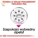 ROYAL CANIN CCN EXIGENT LOAF - mokra karma dla psa dorosłego - 12x85g