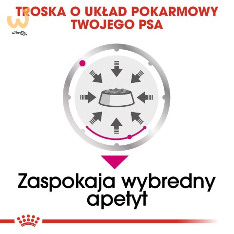 ROYAL CANIN CCN EXIGENT LOAF - mokra karma dla psa dorosłego - 12x85g ROYAL CANIN CCN EXIGENT LOAF - mokra karma dla psa dorosłego - 12x85g