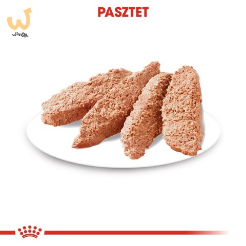 ROYAL CANIN CCN EXIGENT LOAF - mokra karma dla psa dorosłego - 12x85g ROYAL CANIN CCN EXIGENT LOAF - mokra karma dla psa dorosłego - 12x85g