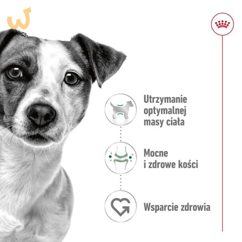 ROYAL CANIN Mini Adult 2kg ROYAL CANIN Mini Adult 2kg