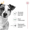 ROYAL CANIN Mini Ageing +12 3,5kg
