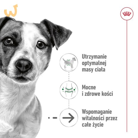 ROYAL CANIN Mini Ageing +12 3,5kg ROYAL CANIN Mini Ageing +12 3,5kg