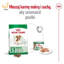 ROYAL CANIN Mini Ageing +12 3,5kg