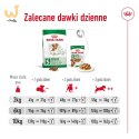 ROYAL CANIN Mini Ageing +12 3,5kg