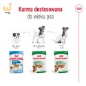 ROYAL CANIN Mini Ageing 12+ - mokra karma dla psa - 12x 85 g