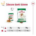 ROYAL CANIN Mini Ageing 12+ - mokra karma dla psa - 12x 85 g