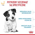 ROYAL CANIN Puppy Mini SHN - sucha karma dla szczeniąt - 8 kg