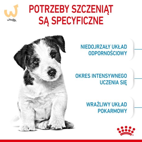 ROYAL CANIN Puppy Mini SHN - sucha karma dla szczeniąt - 8 kg ROYAL CANIN Puppy Mini SHN - sucha karma dla szczeniąt - 8 kg