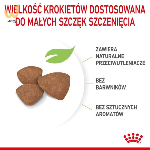 ROYAL CANIN Puppy Mini SHN - sucha karma dla szczeniąt - 8 kg ROYAL CANIN Puppy Mini SHN - sucha karma dla szczeniąt - 8 kg
