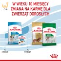 ROYAL CANIN Puppy Mini SHN - sucha karma dla szczeniąt - 8 kg