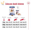 ROYAL CANIN SHN Maxi Adult - sucha karma dla psa dorosłego - 15 kg