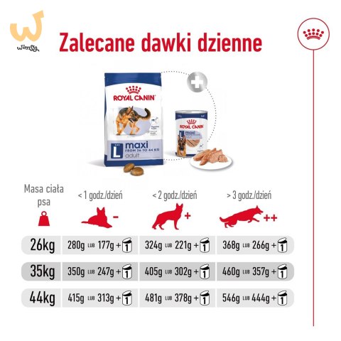 ROYAL CANIN SHN Maxi Adult - sucha karma dla psa dorosłego - 15 kg ROYAL CANIN SHN Maxi Adult - sucha karma dla psa dorosłego - 15 kg