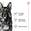 ROYAL CANIN SHN Maxi Adult - sucha karma dla psa dorosłego - 15 kg