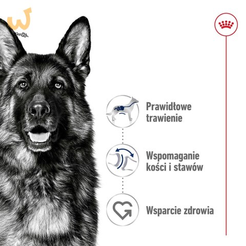 ROYAL CANIN SHN Maxi Adult - sucha karma dla psa dorosłego - 15 kg ROYAL CANIN SHN Maxi Adult - sucha karma dla psa dorosłego - 15 kg