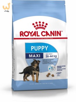 ROYAL CANIN SHN Maxi Puppy - sucha karma dla szczeniąt - 4kg