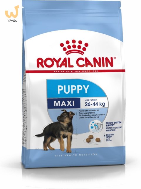 ROYAL CANIN SHN Maxi Puppy - sucha karma dla szczeniąt - 4kg ROYAL CANIN SHN Maxi Puppy - sucha karma dla szczeniąt - 4kg