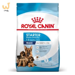 ROYAL CANIN SHN Maxi Starter Mother & Babydog - sucha karma dla psa - 4 kg