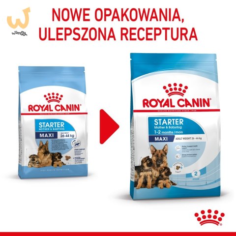 ROYAL CANIN SHN Maxi Starter Mother & Babydog - sucha karma dla psa - 4 kg ROYAL CANIN SHN Maxi Starter Mother & Babydog - sucha karma dla psa - 4 kg