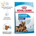 ROYAL CANIN SHN Maxi Starter Mother & Babydog - sucha karma dla psa - 4 kg