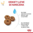 ROYAL CANIN SHN Maxi Starter Mother & Babydog - sucha karma dla psa - 4 kg