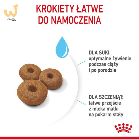 ROYAL CANIN SHN Maxi Starter Mother & Babydog - sucha karma dla psa - 4 kg ROYAL CANIN SHN Maxi Starter Mother & Babydog - sucha karma dla psa - 4 kg