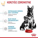 ROYAL CANIN SHN Maxi Starter Mother & Babydog - sucha karma dla psa - 4 kg