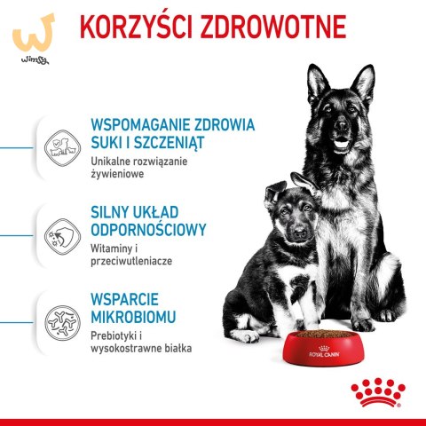 ROYAL CANIN SHN Maxi Starter Mother & Babydog - sucha karma dla psa - 4 kg ROYAL CANIN SHN Maxi Starter Mother & Babydog - sucha karma dla psa - 4 kg