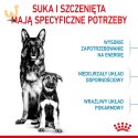 ROYAL CANIN SHN Maxi Starter Mother & Babydog - sucha karma dla psa - 4 kg