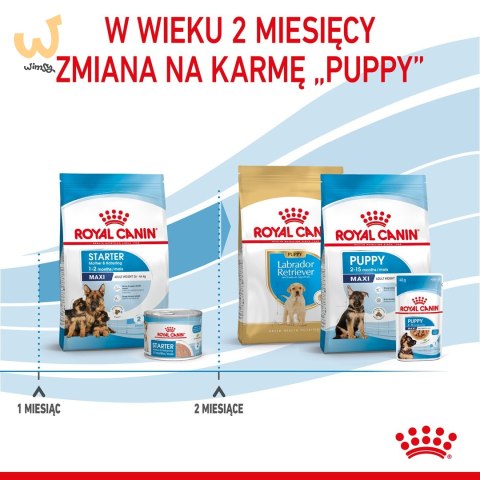ROYAL CANIN SHN Maxi Starter Mother & Babydog - sucha karma dla psa - 4 kg ROYAL CANIN SHN Maxi Starter Mother & Babydog - sucha karma dla psa - 4 kg