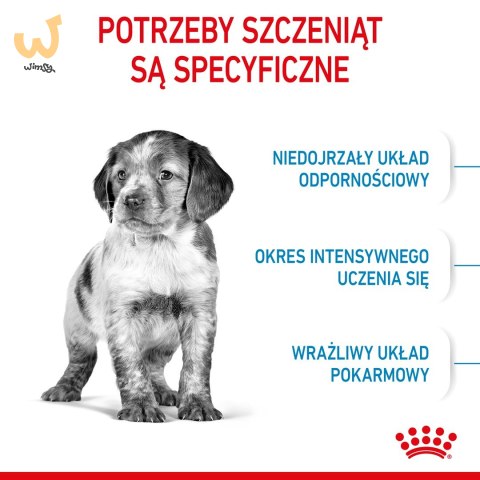 ROYAL CANIN SHN Medium Puppy - sucha karma dla szczeniąt - 15 kg ROYAL CANIN SHN Medium Puppy - sucha karma dla szczeniąt - 15 kg