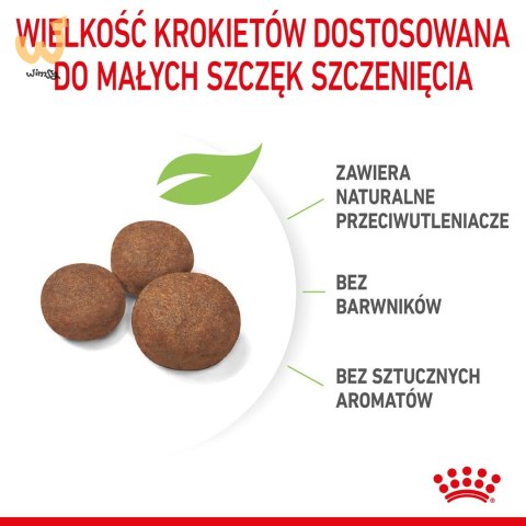 ROYAL CANIN SHN Medium Puppy - sucha karma dla szczeniąt - 15 kg ROYAL CANIN SHN Medium Puppy - sucha karma dla szczeniąt - 15 kg