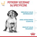 ROYAL CANIN SHN Medium Puppy - sucha karma dla szczeniąt - 4kg