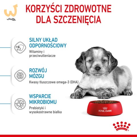 ROYAL CANIN SHN Medium Puppy - sucha karma dla szczeniąt - 4kg ROYAL CANIN SHN Medium Puppy - sucha karma dla szczeniąt - 4kg