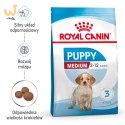 ROYAL CANIN SHN Medium Puppy - sucha karma dla szczeniąt - 4kg