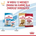 ROYAL CANIN SHN Medium Puppy - sucha karma dla szczeniąt - 4kg