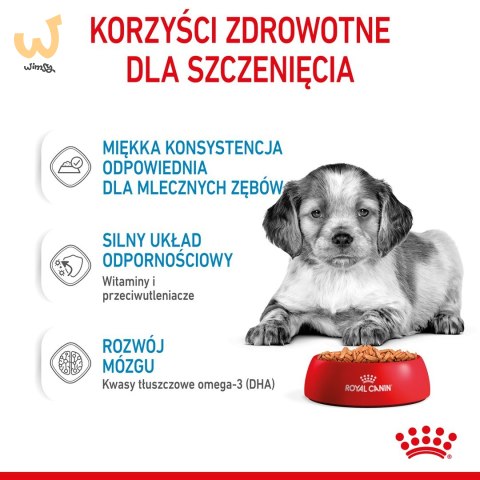 ROYAL CANIN SHN Medium Puppy w sosie - mokra karma dla szczeniąt - 10X140g ROYAL CANIN SHN Medium Puppy w sosie - mokra karma dla szczeniąt - 10X140g