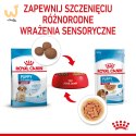 ROYAL CANIN SHN Medium Puppy w sosie - mokra karma dla szczeniąt - 10X140g