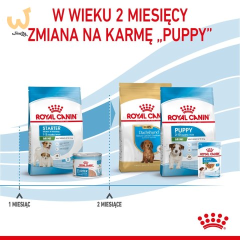 ROYAL CANIN SHN Mini Starter Mother & Babydog - sucha karma dla psa - 4 kg ROYAL CANIN SHN Mini Starter Mother & Babydog - sucha karma dla psa - 4 kg