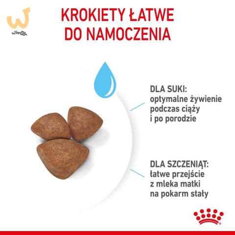 ROYAL CANIN SHN Mini Starter Mother & Babydog - sucha karma dla psa - 4 kg ROYAL CANIN SHN Mini Starter Mother & Babydog - sucha karma dla psa - 4 kg