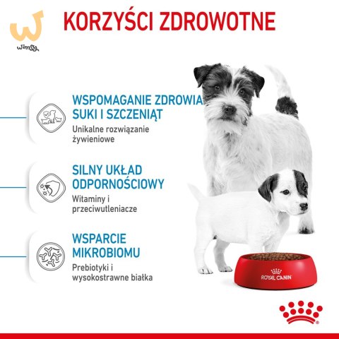 ROYAL CANIN SHN Mini Starter Mother & Babydog - sucha karma dla psa - 4 kg ROYAL CANIN SHN Mini Starter Mother & Babydog - sucha karma dla psa - 4 kg