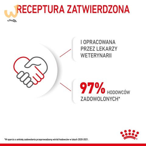 ROYAL CANIN SHN Mini Starter Mother & Babydog - sucha karma dla psa - 4 kg ROYAL CANIN SHN Mini Starter Mother & Babydog - sucha karma dla psa - 4 kg