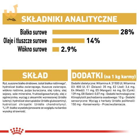 Royal Canin BHN Dachshund Adult - sucha karma dla psa dorosłego - 1,5kg Royal Canin BHN Dachshund Adult - sucha karma dla psa dorosłego - 1,5kg