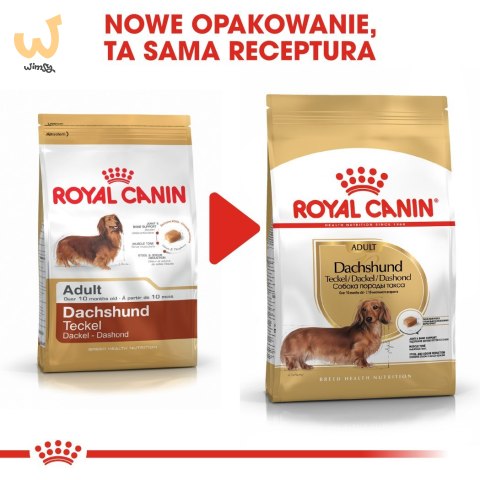 Royal Canin BHN Dachshund Adult - sucha karma dla psa dorosłego - 1,5kg Royal Canin BHN Dachshund Adult - sucha karma dla psa dorosłego - 1,5kg